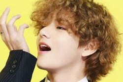 ARMY đặt biệt danh mới cho V BTS nhờ mái tóc xù