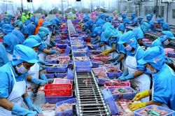 Xuất khẩu thủy sản tăng trở lại sau giai đoạn giảm do Covid- 19