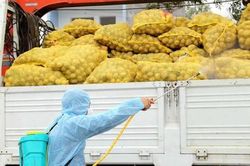 Thiếu kho đông lạnh, xuất khẩu nông sản gặp khó