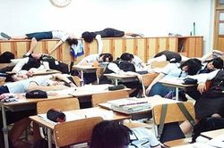 13 điều 'cực dị' chỉ có ở Nhật Bản: Ngủ gật được xem là chăm chỉ, khách sạn con nhộng