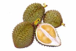 Sầu riêng Ngũ Hiệp