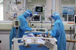 Ca tử vong liên quan đến COVID-19 thứ 43 có tiền sử xơ gan