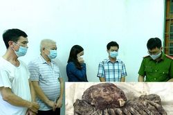 Phát hiện 1 bộ xương hổ đông lạnh tại nhà đối tượng tổ chức đánh bạc