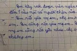 Đoạn văn của học sinh lớp 2 khiến ai nấy cười ngất vì '5 câu mà như 1'