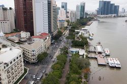 TP.HCM cho phép di dời, đốn hạ 178 cây xanh ở Công viên Bến Bạch Đằng
