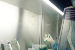 Nghệ An: Kết quả 61 xét nghiệm tiếp xúc gần với công dân nhiễm COVID-19 ở Lào