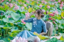 Quảng Trị: Sen hồng đang mùa nở rộ, bạn đã chụp bộ ảnh 'sống ảo' nào chưa?