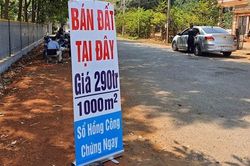 Mặc kệ 'sốt đất' hay không, đất nền 'vẫn hái ra tiền' trong dài hạn