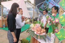 Đẩy mạnh hoạt động xúc tiến thương mại, du lịch theo chiều sâu