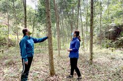 Phát triển đảng viên: Chú trọng về chất lượng