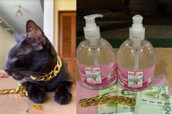Bị truy tìm vì ăn cắp vòng của mèo, kẻ trộm trả lại đồ kèm theo tiền lãi