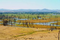 LHQ: Nhiệt độ Trái Đất có thể tăng 1,5 độ C trong 5 năm tới