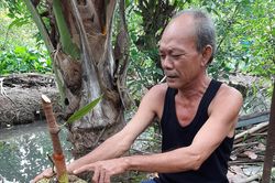 Người trồng mít miền Tây khốn đốn với chiêu trò 'ép giá' của thương lái