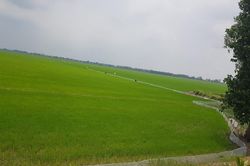 An Giang đẩy mạnh phát triển kinh tế hợp tác