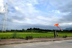 Cảnh báo trẻ em thả diều gần lưới điện