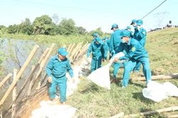 Khẩn cấp xử lý sự cố kè Nhạn Tái (huyện Đông Anh)
