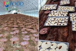 Nấm linh chi Daedong Hàn Quốc được phân phối chính thức ở Việt Nam