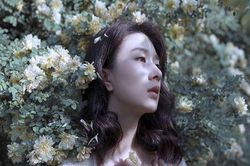 Nỗi dịu ngọt của những điều đã mất