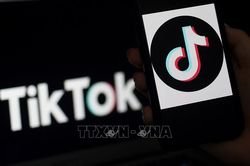 EU yêu cầu TikTok kiểm soát nội dung quảng cáo