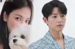 Hay tin Song Joong Ki 'cặp kè' Suzy, Song Hye Kyo liền 'dằn mặt'?