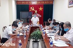Thông qua nội dung sẽ trình tại kỳ họp HĐND tỉnh giữa năm 2021
