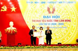 Trường Cao đẳng Kinh tế - Kỹ thuật Lâm Đồng: Chú trọng chất lượng đào tạo