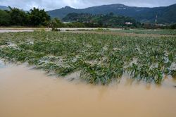 Khẩn trương phòng, chống, ứng phó với mưa bão, lũ lụt và tai nạn đuối nước