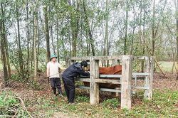 Kiểm soát tốt dịch bệnh, góp phần ổn định thị trường thịt bò