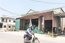 Hồi âm bài báo: 'Khu phố 5, Phường 2, thị xã Quảng Trị: Ô nhiễm khói, bụi từ cơ sở chế biến, xay xát gạo': Tạm ngừng hoạt động, yêu cầu các cơ sở khẩn trương khắc phục