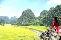 'Mùa vàng Tam Cốc - Bích Động'