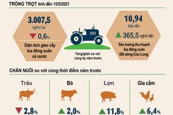 Trồng trọt thuận lợi, chăn nuôi tăng khá