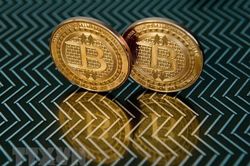 Cảnh sát Anh phát hiện một cơ sở 'đào' bitcoin câu trộm điện