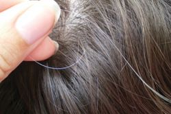 Chữa tóc bạc sớm chỉ bằng cách sử dụng đậu đen