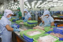 Gia tăng vụ kiện phòng vệ thương mại: Hiểu luật để hạn chế rủi ro