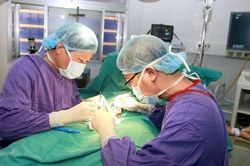Đau tinh hoàn dữ dội, phải nhập viện ngay