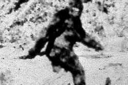 Treo thưởng 3 triệu USD cho Bigfoot