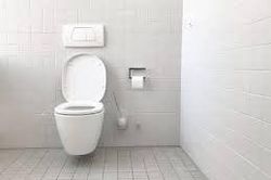 Vì sao bồn cầu thường có màu trắng chứ không phải màu khác?