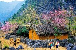 Truyện ngắn: Lên núi mùa xuân
