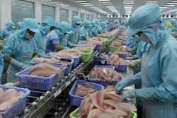 Xuất khẩu thủy sản vào thị trường Hoa Kỳ tăng mạnh