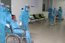 Những mầm sống vẫn vươn lên mạnh mẽ…