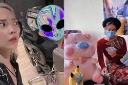 Sao Việt ngày đầu giãn cách xã hội: Người ngủ thi với mèo cưng, người khởi nghiệp TikTok
