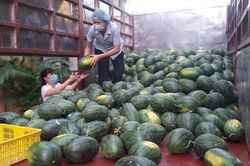 Thay tư duy giải cứu bằng mua hàng ngon, giá rẻ