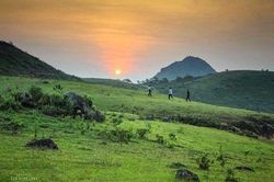 Lãng mạn Đồi Tình