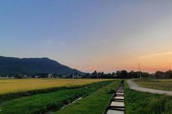 Tuổi thơ của cha...