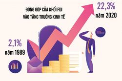 Khu vực đầu tư nước ngoài: Hiệu quả kinh tế chưa tương xứng với ưu đãi được hưởng