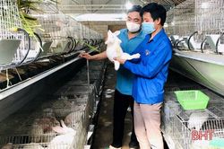Mô hình nuôi thỏ của 9X Hà Tĩnh thu lãi từ 100 - 150 triệu đồng/năm