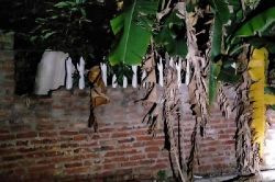 Thanh niên 'giật bắn người' khi vô tình phát hiện hàng rào siêu rùng rợn của nhà hàng xóm