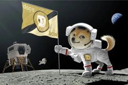 Bồn tắm nước nóng kiêm máy đào Dogecoin, ý tưởng điên rồ nhằm cứu vớt tiền mã hóa