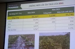 Thaco chi gần 3.700 tỷ đồng vào HNG trong năm 2021