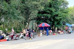 Chợ tự phát vi phạm hành lang đường bộ: Dễ mọc, khó dẹp